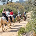 Climatise Entre Montpellier Est Sete Proche Des Plages Vic-la-Gardiole