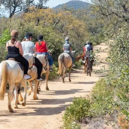 Climatise Entre Montpellier Est Sete Proche Des Plages Vic-la-Gardiole
