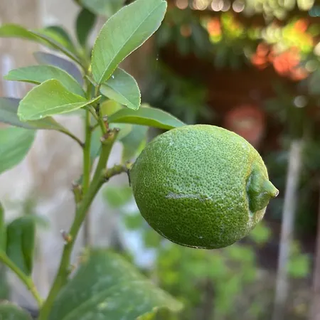 別荘 Climatise Entre Montpellier Est Sete Proche Des Plages *