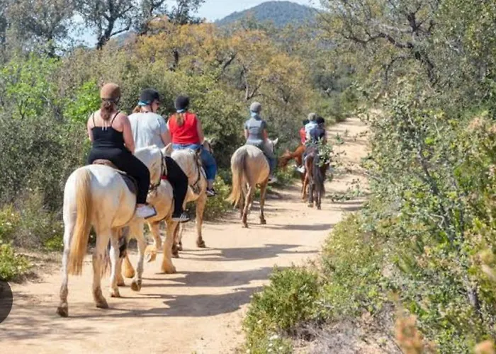 Climatise Entre Montpellier Est Sete Proche Des Plages Vic-la-Gardiole